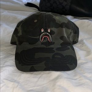Bathing ape hat